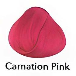 Carnation Pink