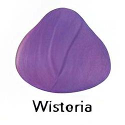 Wisteria