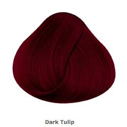 Dark Tulip