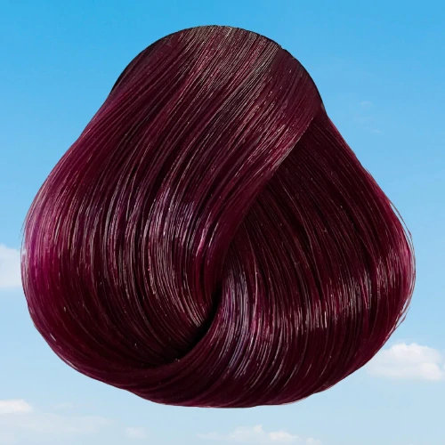 Dark Tulip