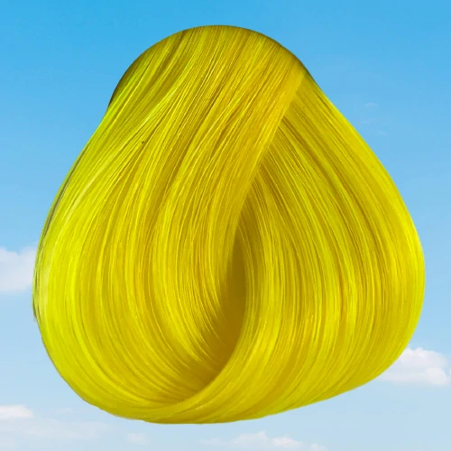 Bright Daffodil
